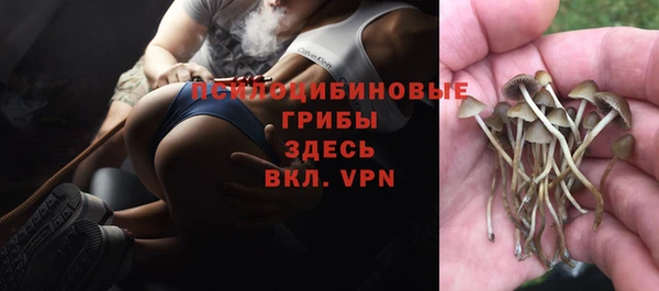 МДМА Новодвинск