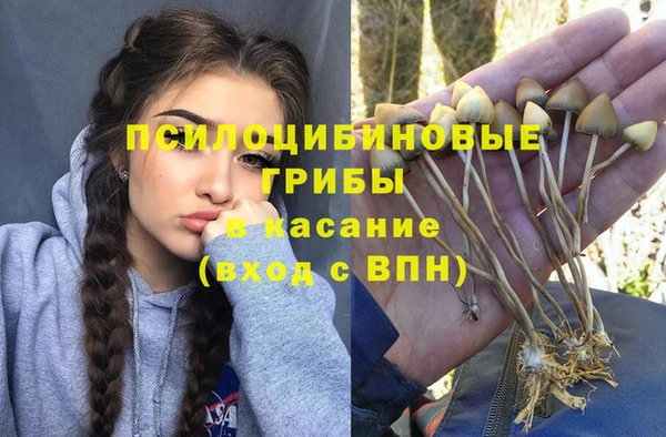 ALPHA-PVP Новокубанск