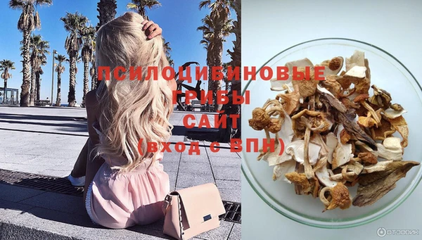 ALPHA-PVP Новокубанск