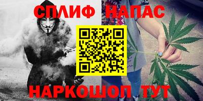 дживик Донской