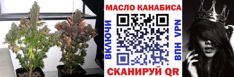ТГК концентрат  цены   Клинцы 