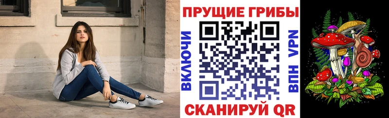 Псилоцибиновые грибы GOLDEN TEACHER  купить закладку  Клинцы 