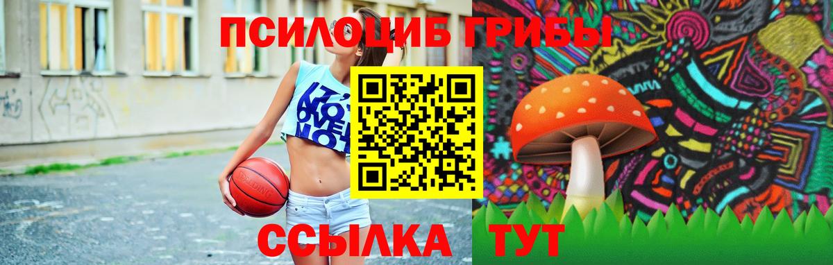 Псилоцибиновые грибы MAGIC MUSHROOMS  Псилоцибиновые грибы ЛСД  Вход с VPN  Клинцы 