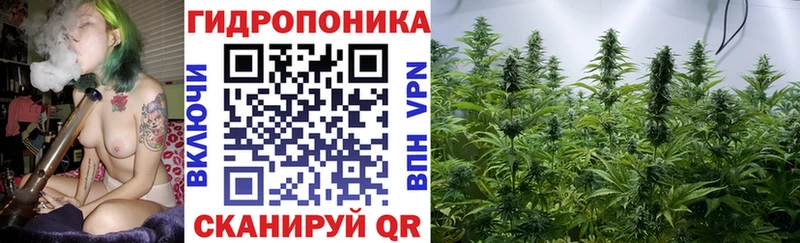 Бошки Шишки конопля  наркотики  darknet наркотические препараты  Клинцы  omg ONION 